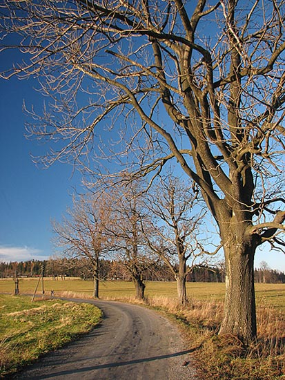 a takhle to vypada - sakra