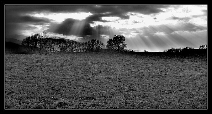 Novembrová - Listopadová