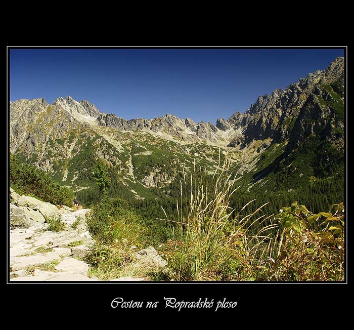 Cestou na Popradské pleso