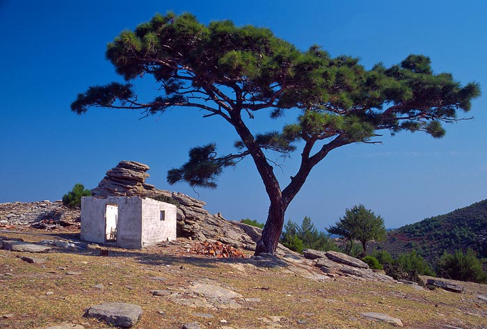 Thassos