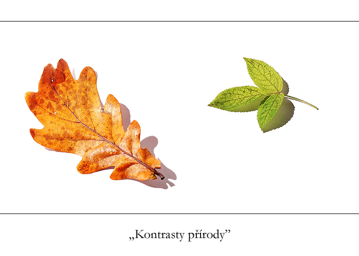 Kontrasty přírody