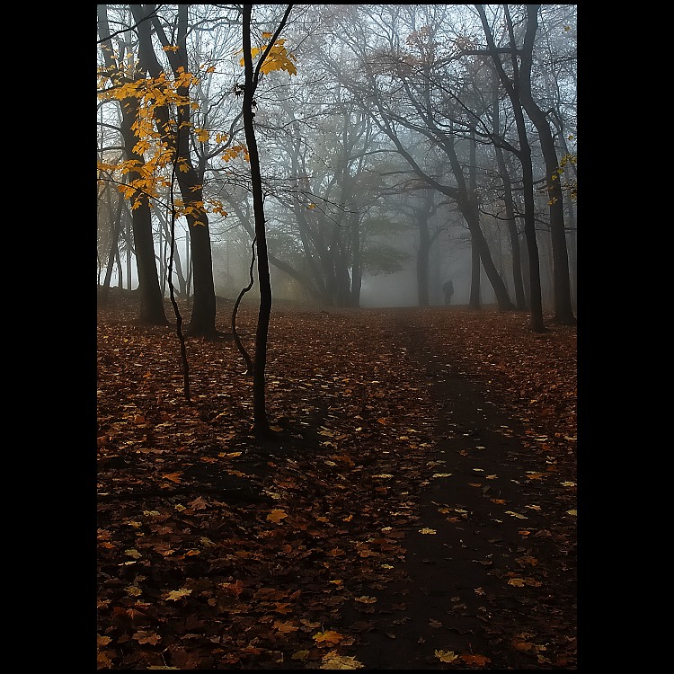 osamělý