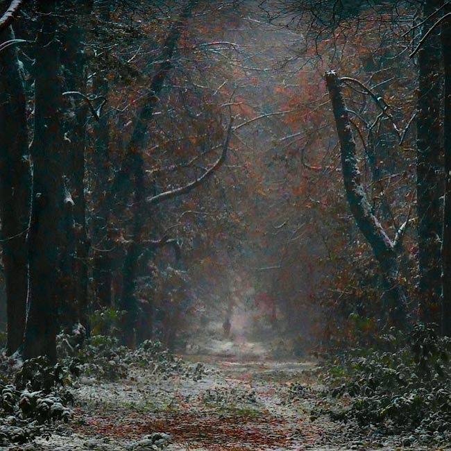 KraJina