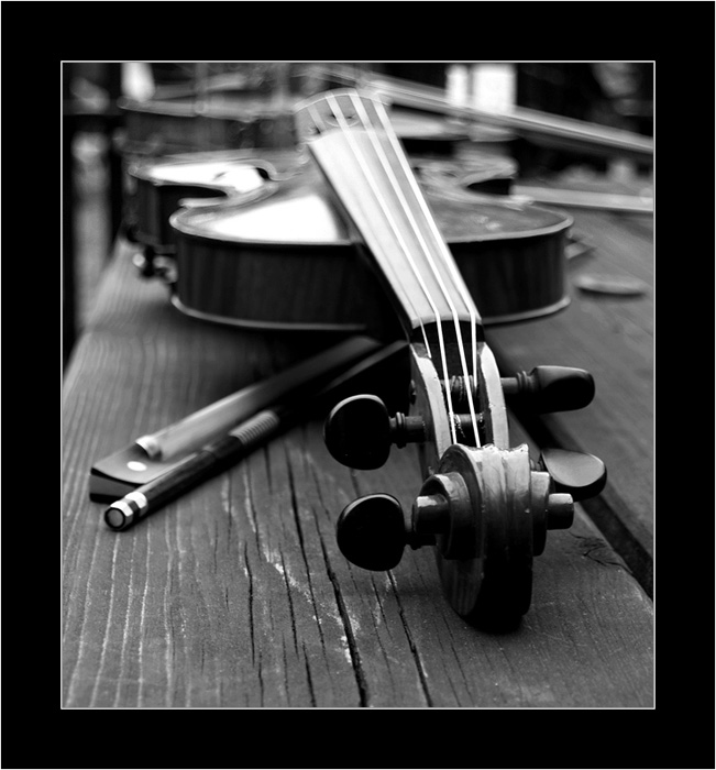 Čiže ste husličky čije