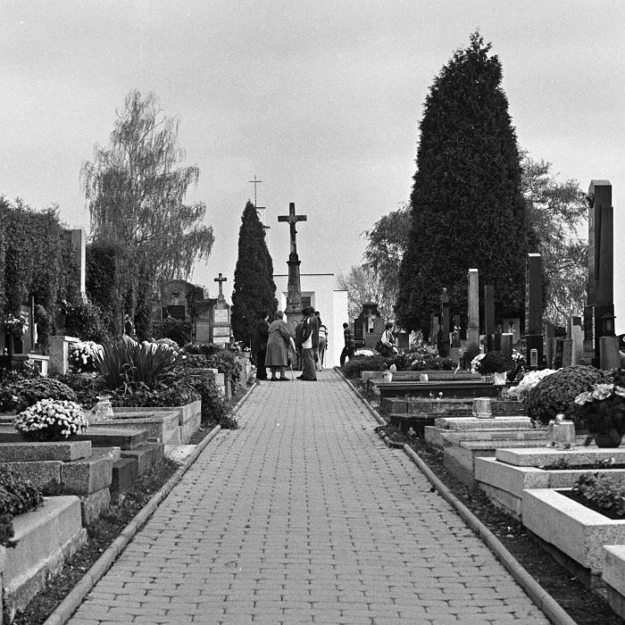 dušičky a ti ostatní..