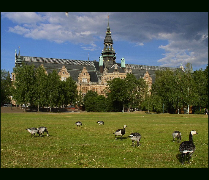 Švédsko - Stockholm, Národní muzeum