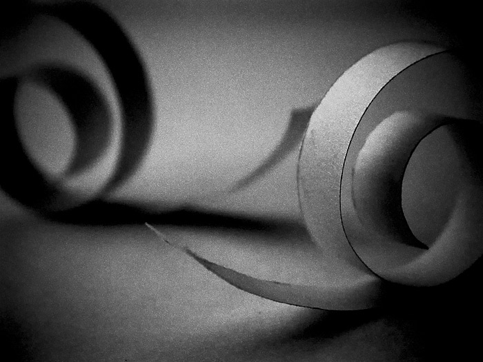 Snail