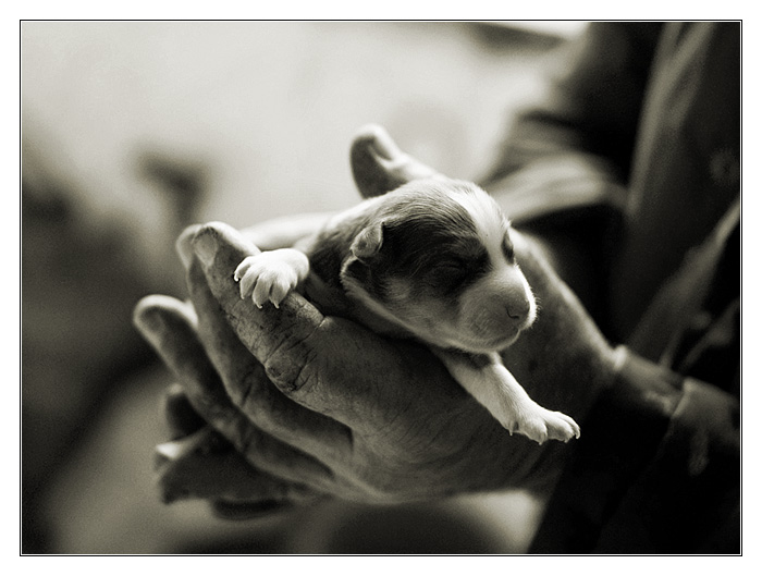 love me tender :-)