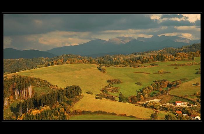 Roháče