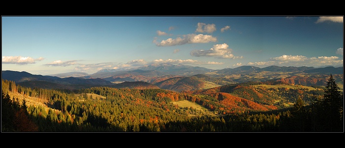 Orava