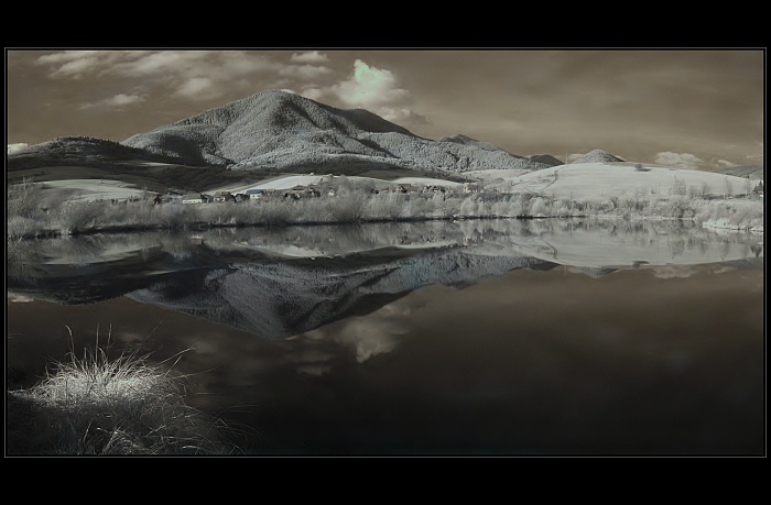 Kategória: Kaprový