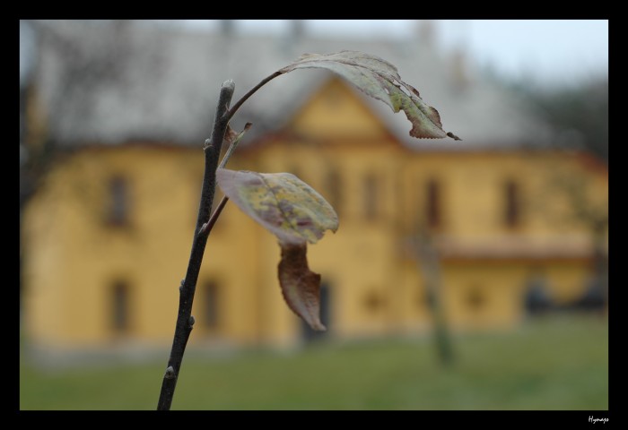 Chaloupka