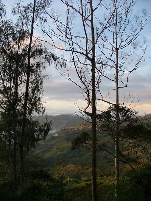 Highlands po ránu (Papua Nová Guinea)
