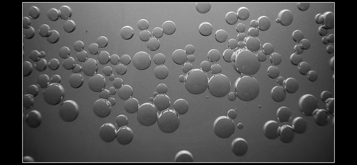***Water world***