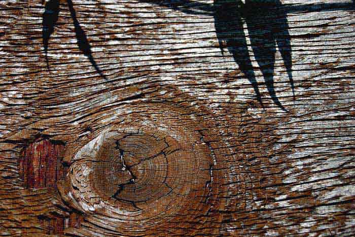 Frajersky s patkou do čela (jak nám to móda velela)