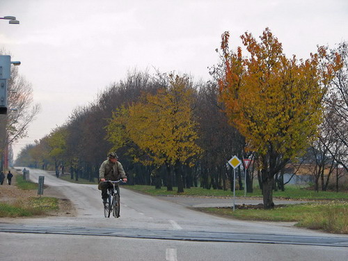 prechadzka jesennou prirodou