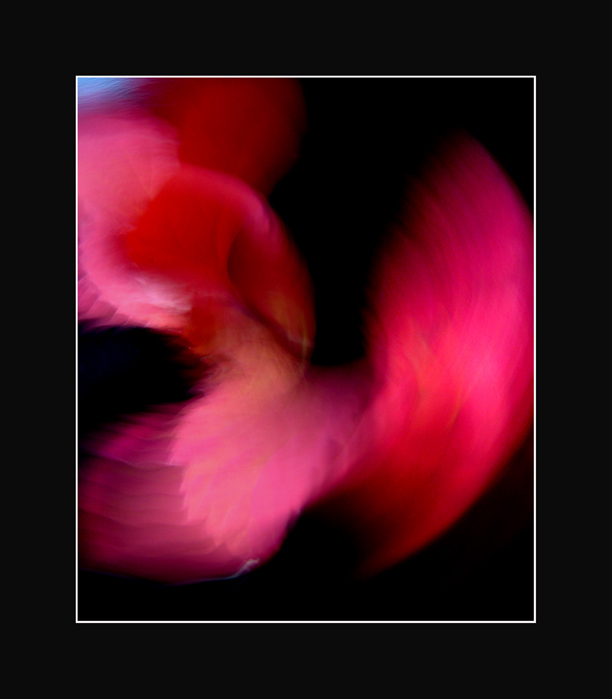 Red dance ..