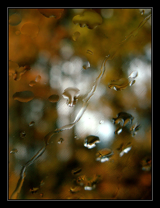 Dušičková variace - konec babího léta