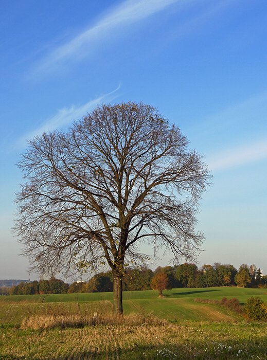 na pomezí
