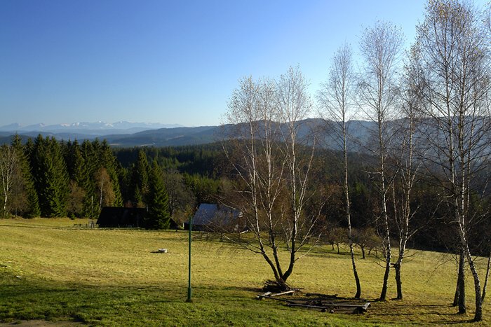 tanečnice na parketu s výhledem do ciziny