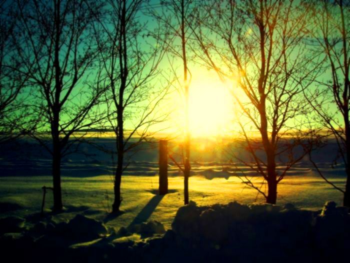                                                                                                                                      ..unreal