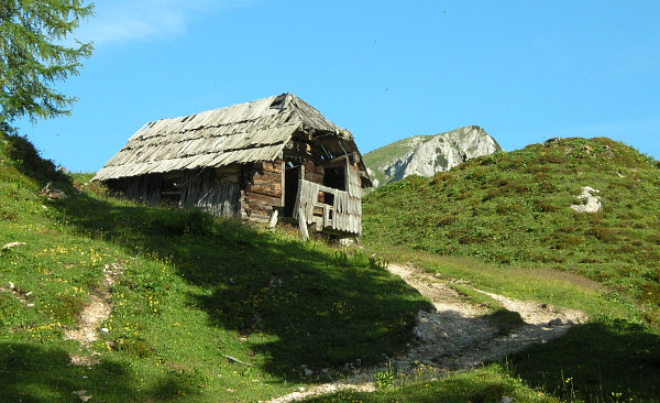 chajda