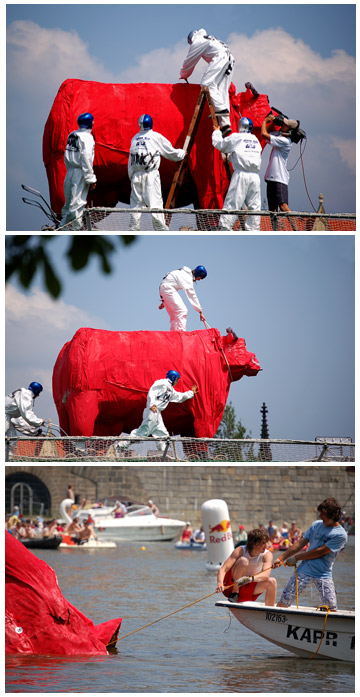 Red bull \"letecký\" den