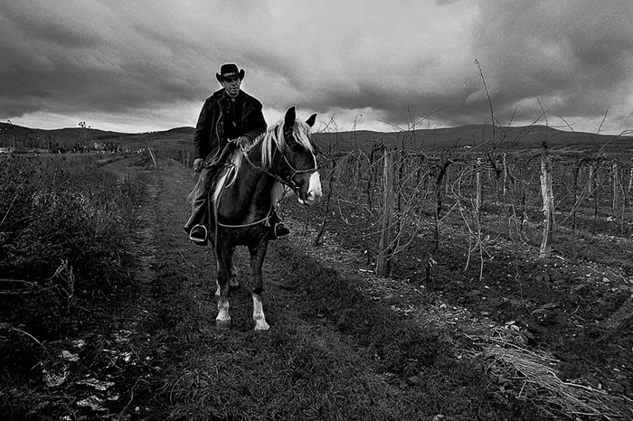 posledny karpatsky kowboy