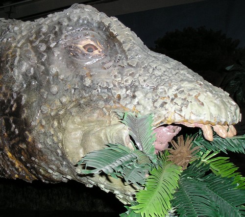 Brontosaurus