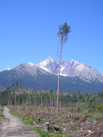 Tatry