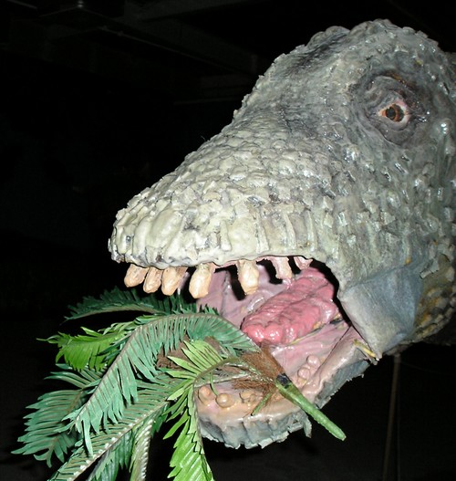 Brontosaurus