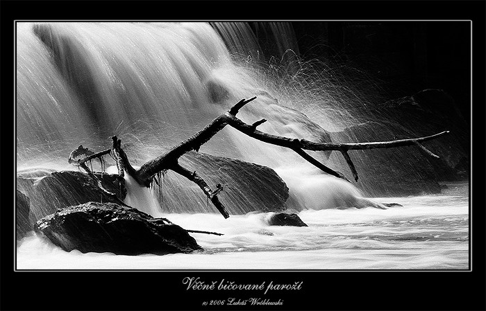 Věčně bičované paroží