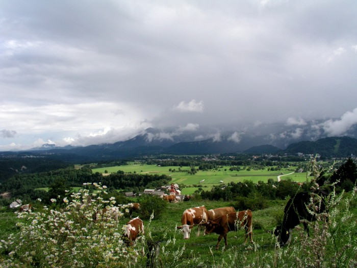 Pozdrav ze Slovinska