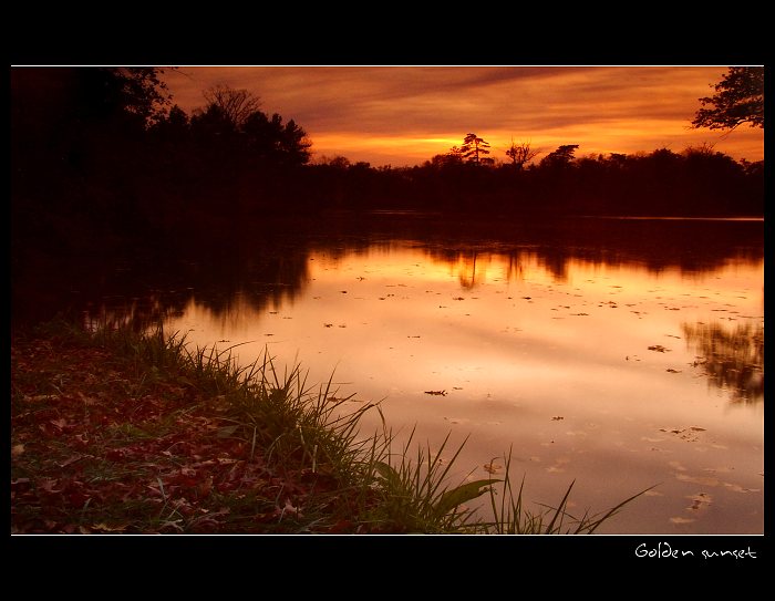 Golden sunset