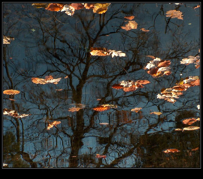Podzimní zrcadlení (2)