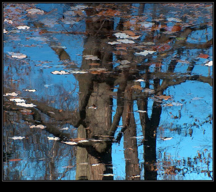 Podzimní zrcadlení ( 4)