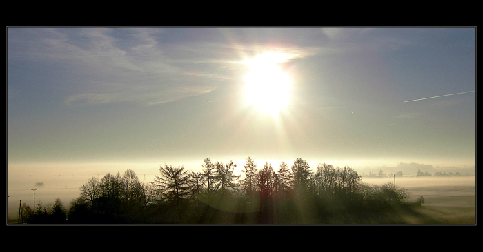 the fog