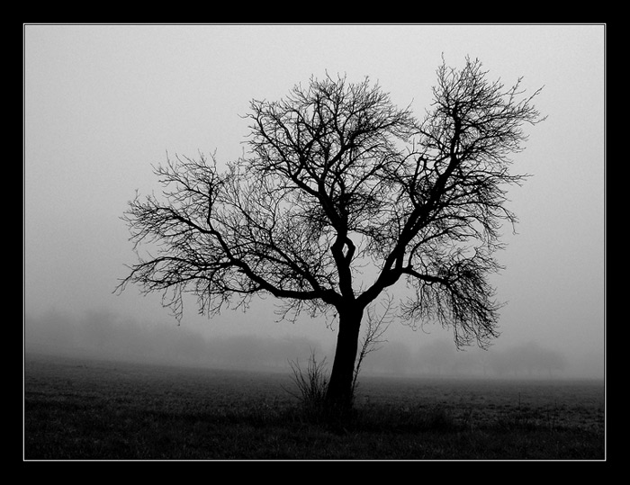 alone