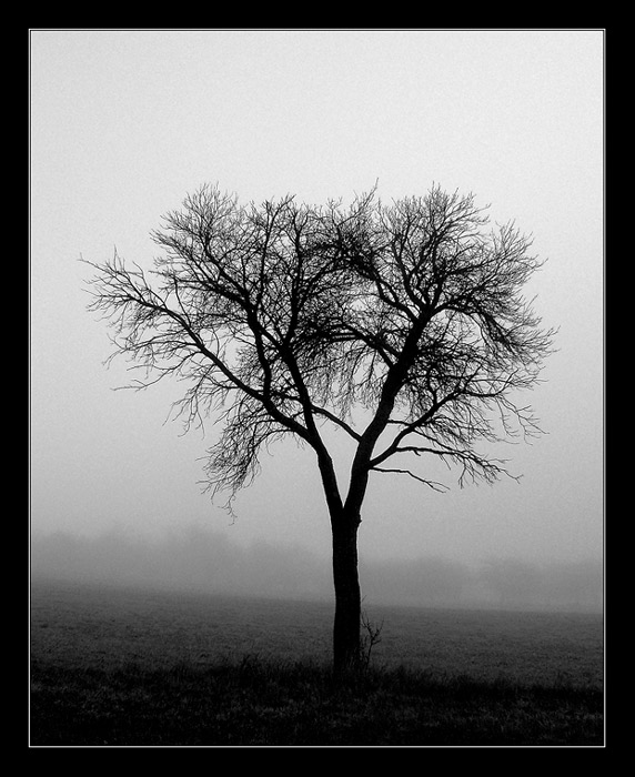 alone III