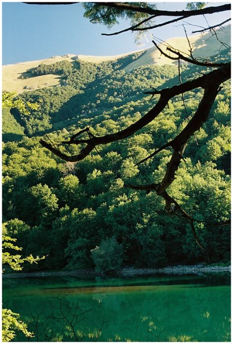 Montenegro, Biogradska Gora