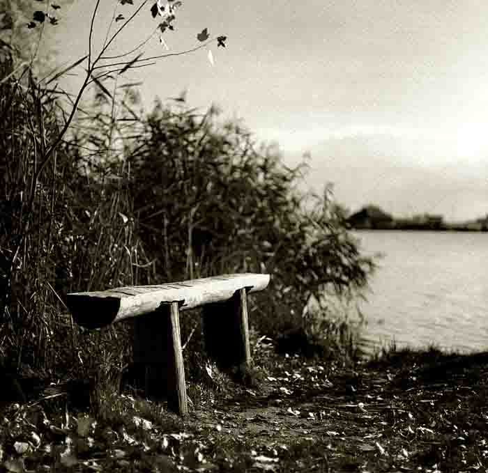Lavička