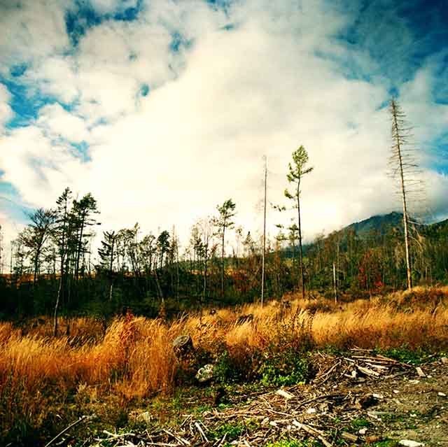 Tatry :o(