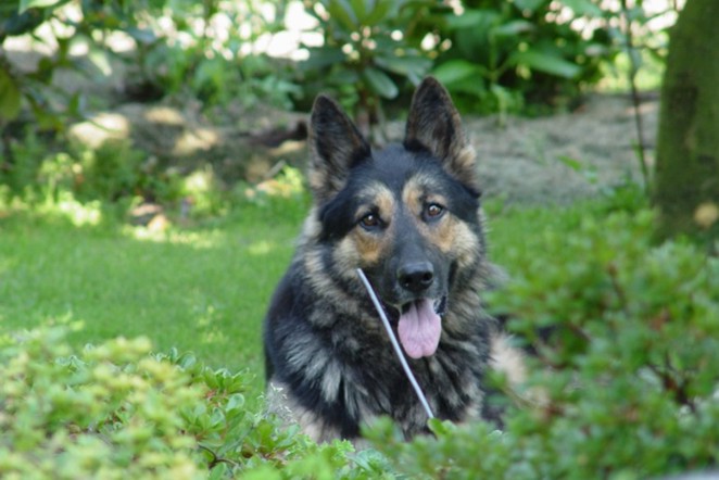 jen..momentka..p.s jeste jednou me budes fotit a pokousu te!