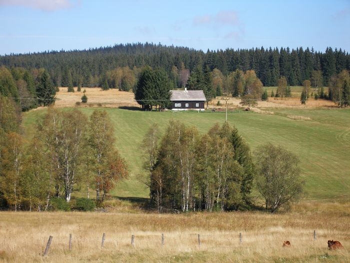 Šumavský podzim