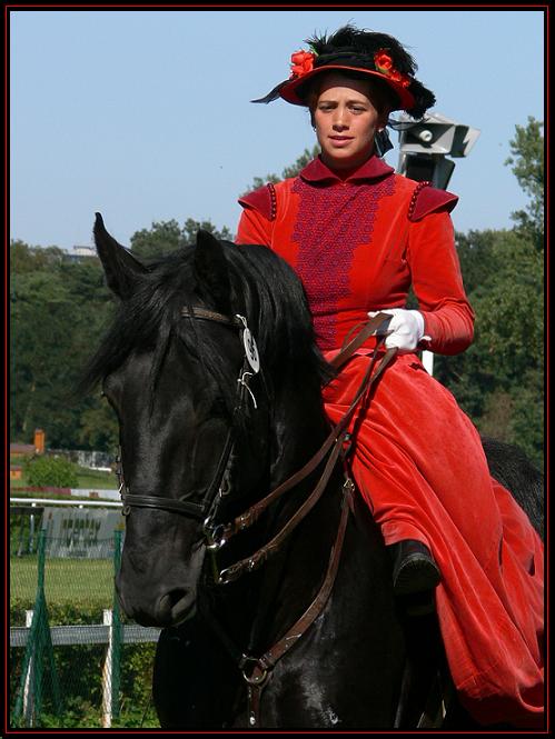 Koně v Akci 2006