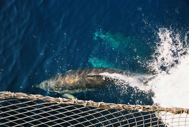 Stastie na mori.....