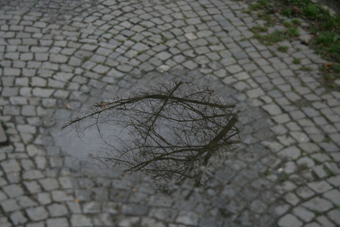 Podzimni kaluz