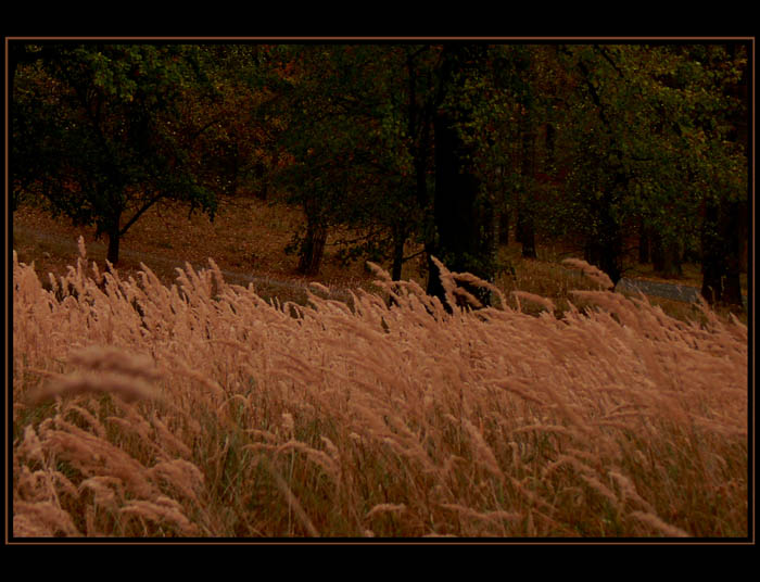 -- \\\\\\\\\\\\\\ --