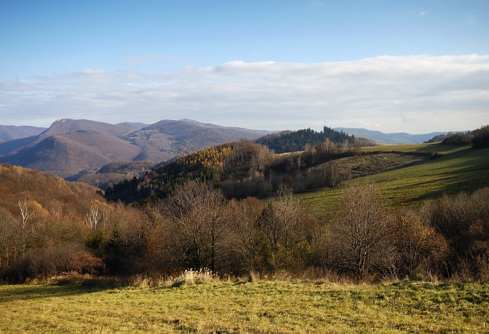 bez názvu