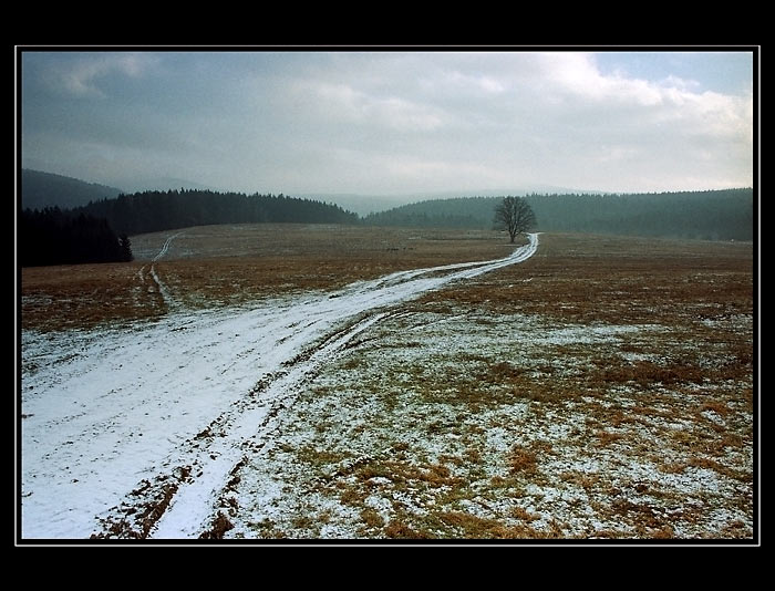 Krajina ticha